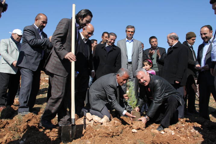 ÇEKÜD Şanlıurfa'da 1500 Halep Çamı Fidanı dikti.