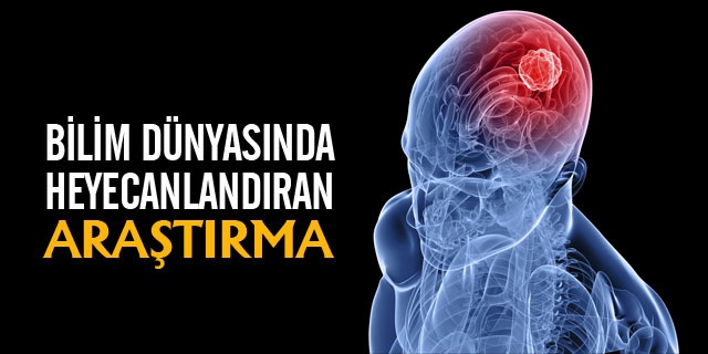 Bilim Dünyasında Müthiş Araştırma