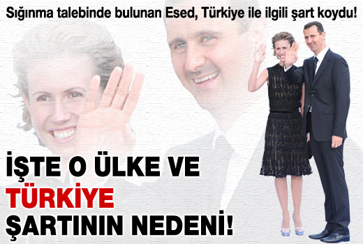 Beşar Esad hangi ülkeden sığınma istedi?