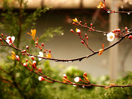 Yeni hafta baharla geliyor Haritalı