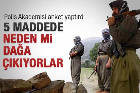 5 Maddede neden dağa çıkıyorlar