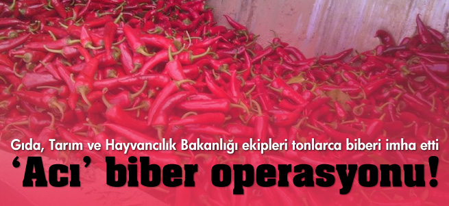 Antalya'da 2 ton biber daha imha edildi