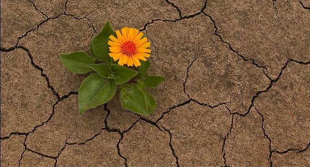 Dindar bir nesil yetiştirebilmek için...