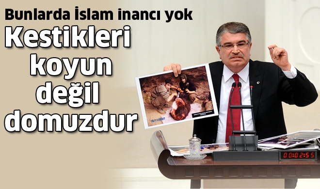 Kestikleri koyun değil DOMUZ!