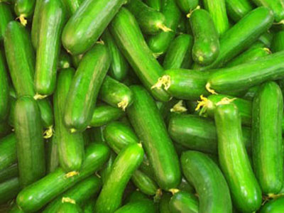 SALATALIK DİYİP GEÇMEMELİ !!!!!!!!!!!!!!!!!!!!!