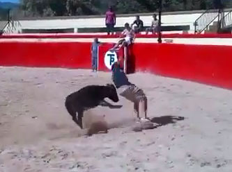 Mehmet Topal matador oldu