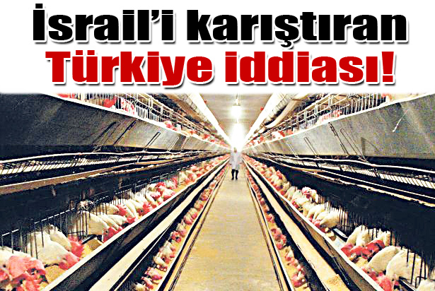 Türk yumurtası İsrail’i karıştırdı