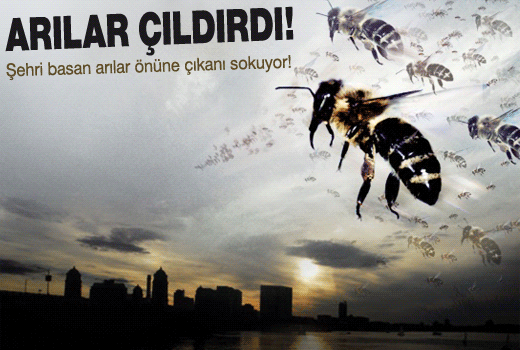 Kraliçeyi yerinde bulamadılar, çıldırdılar!