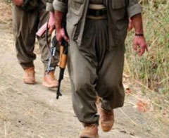 Evinde terörist saklayan BDP'li başkan tutuklandı