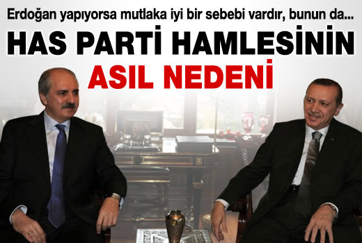 HAS Parti hamlesinin asıl nedeni