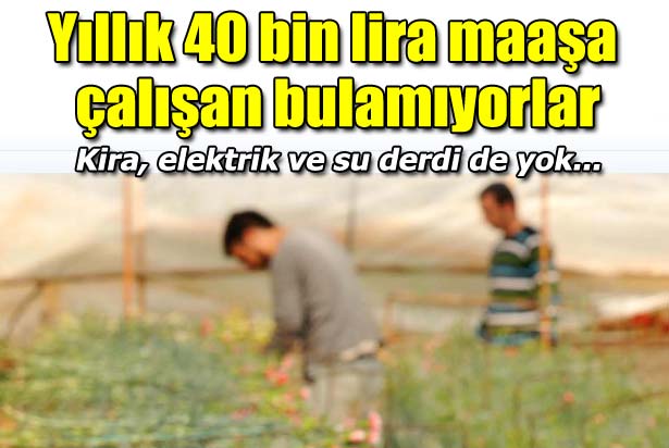 Yıllık 40 bin liraya çalışan bulamıyorlar