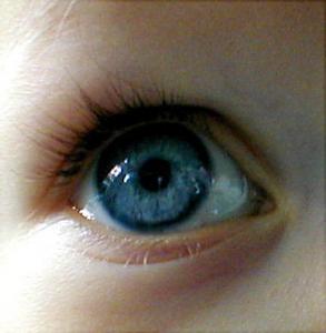 Domuz gribi göz yoluyla bile bulaşıyor