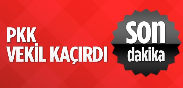 PKK CHP'li vekili serbest bıraktı!