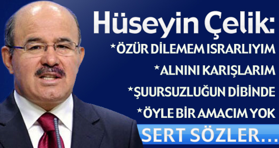 Çelik o sözleri açıkladı
