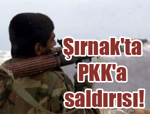 Şırnak'ta PKK'a saldırısı!