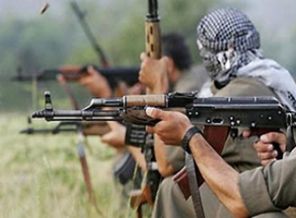 PKK Şemdinli'de yol kesti