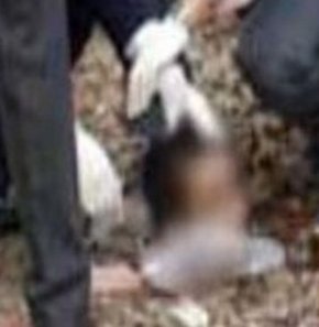 Yanlışlıkla arkadaşının kafasını kesti...