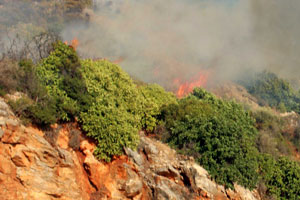 Uşak cayır cayır yanıyor