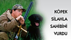 Köpek Silahla Sahibini Vurdu!