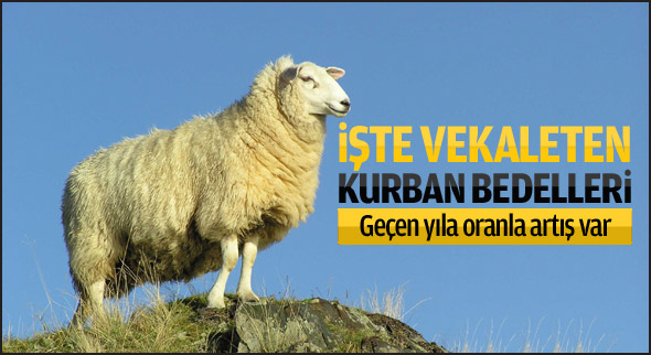 Vekaletle kurban bedeli bu yıl ne kadar?