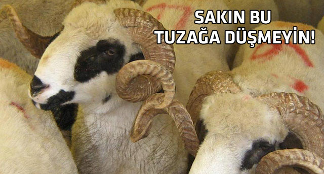 Kurban alırken buna çok dikkat edin!