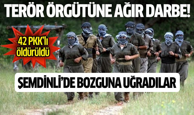 Şemdinli'de 42 PKK'lı öldürüldü