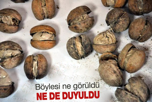 500 cevizin içerisinden 5 kilo eroin çıktı