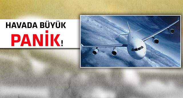 Yolcuyu yılan soktu, uçakta ortalık karıştı!