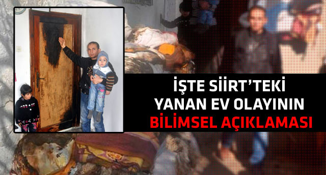 Profesöre göre yangınların sebebi bakın ne!