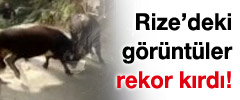 Rize'de çekilen bu görüntüler izlenme rekoru kırıyor