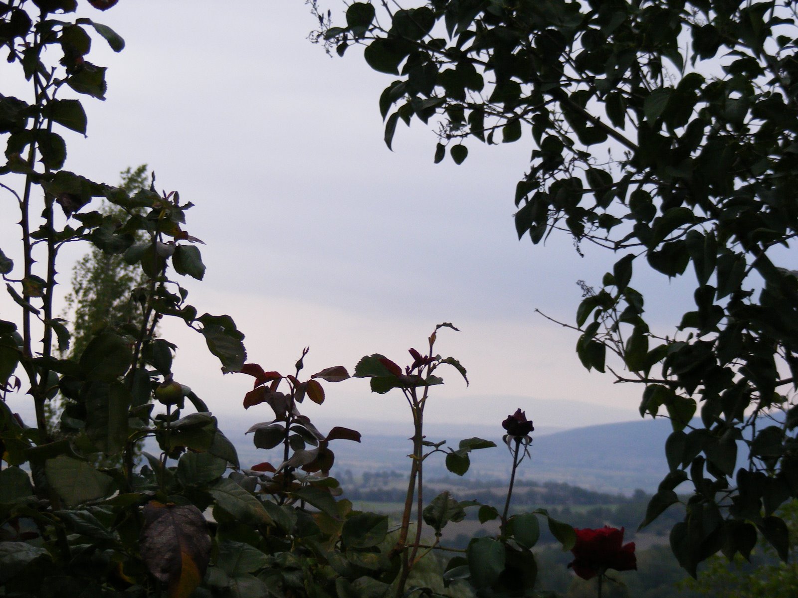 "Kahrolsun Şeriat" diyenlerin akibeti