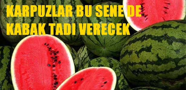 Karpuz bu sene de kabak tadı verecek!