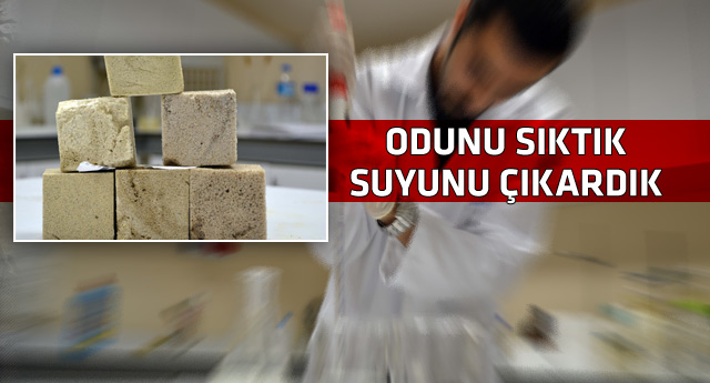 Bilim adamları odunun suyunu çıkardı
