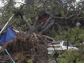 TADF Sandy YARDIMLARI Devam ediyor
