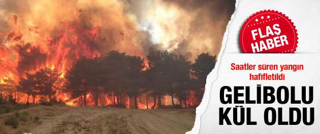Gelibolu'daki yangın büyüyor!
