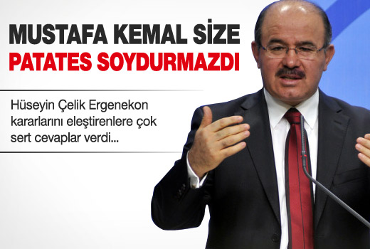 Hüseyin Çelik'ten 'Ergenekon' açıklaması