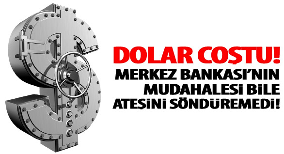 Dolar 2 TL'ye Dayandı