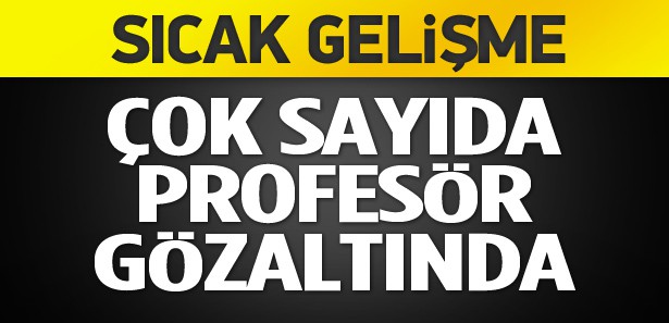 Çok sayıda profesör gözaltına alındı