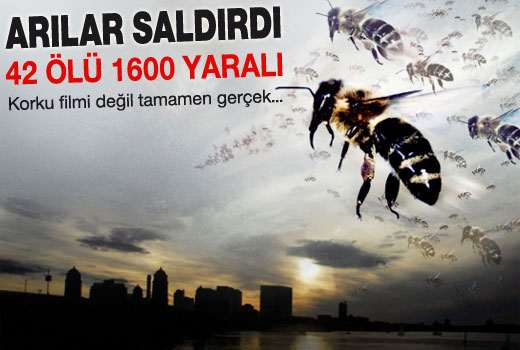 Katil eşek arıları 42 kişiyi öldürdü!