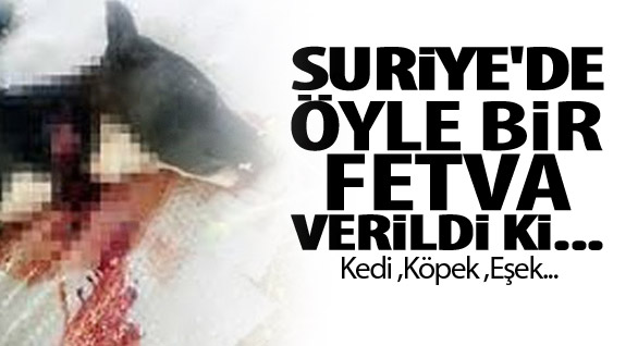 Suriye'de Öyle Bir Fetva Verildi Ki...