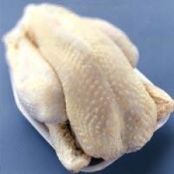 Japonya'da kuş gribinden itlaf edilen tavuk sayısı 10 milyona yaklaştı