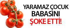 2 TIR Sanal Domates Babayı Şoka Soktu