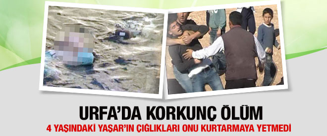 Küçük Yaşar'ın çığlıklarına yetişemediler