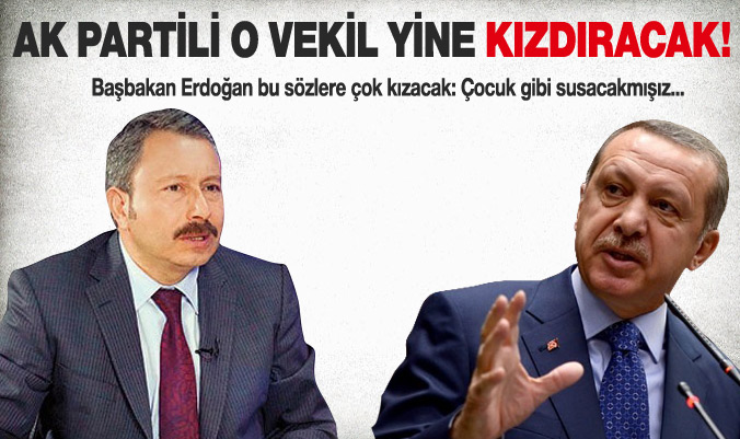 İdris Bal'dan Başbakan Erdoğan'a eleştiri