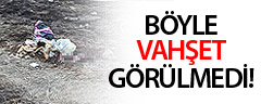 Böyle Vahşet Görülmedi!