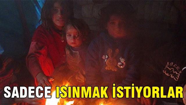 Onlar sadece ısınmak istiyor