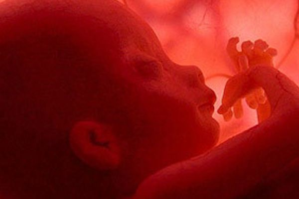 İngiltere'yi ayağa kaldıran skandal: 15 bin bebek yakıldı