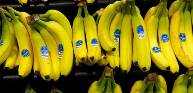 Türkiye'deki muzda hastalık var mı?