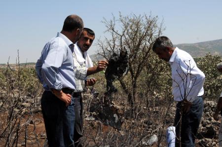 --1486577.jpeg --1486577.jpeg