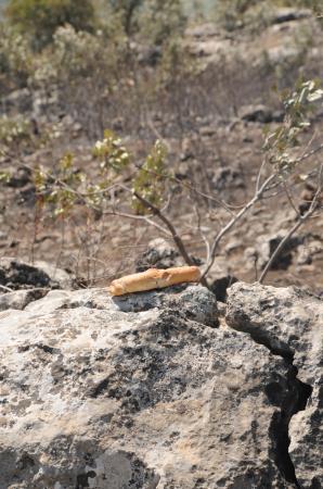 --1486579.jpeg --1486579.jpeg